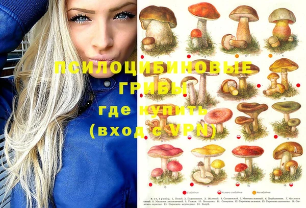 стаф Алексин