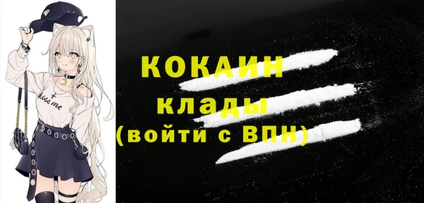 стаф Алексин